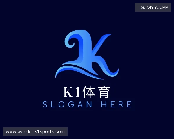 了解k1体育公司